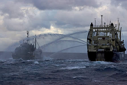 whale wars new ship. ships Sea Shepherds Paul