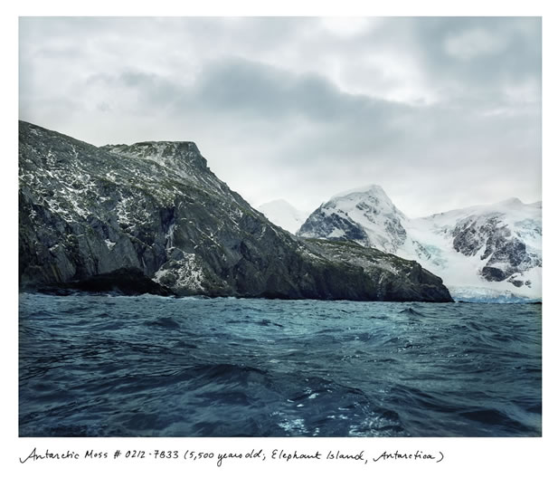 photo of a seascape near a frozen rocky island